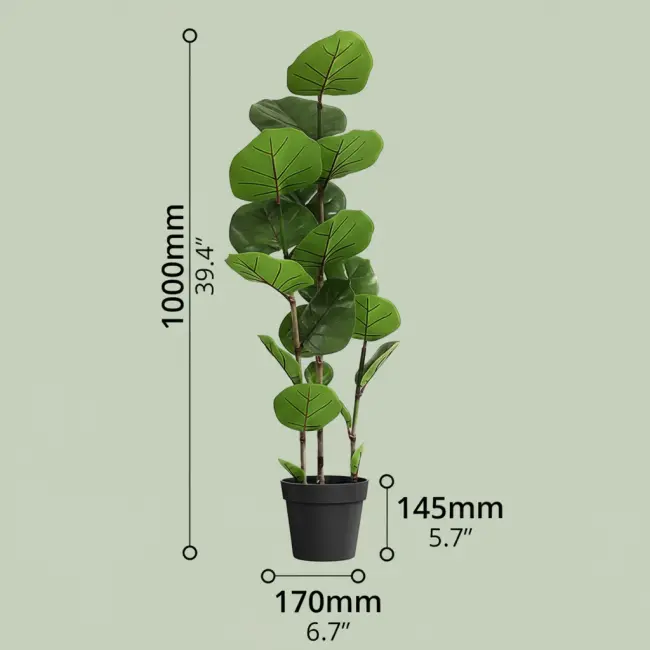 Green Botanical Decor Plant